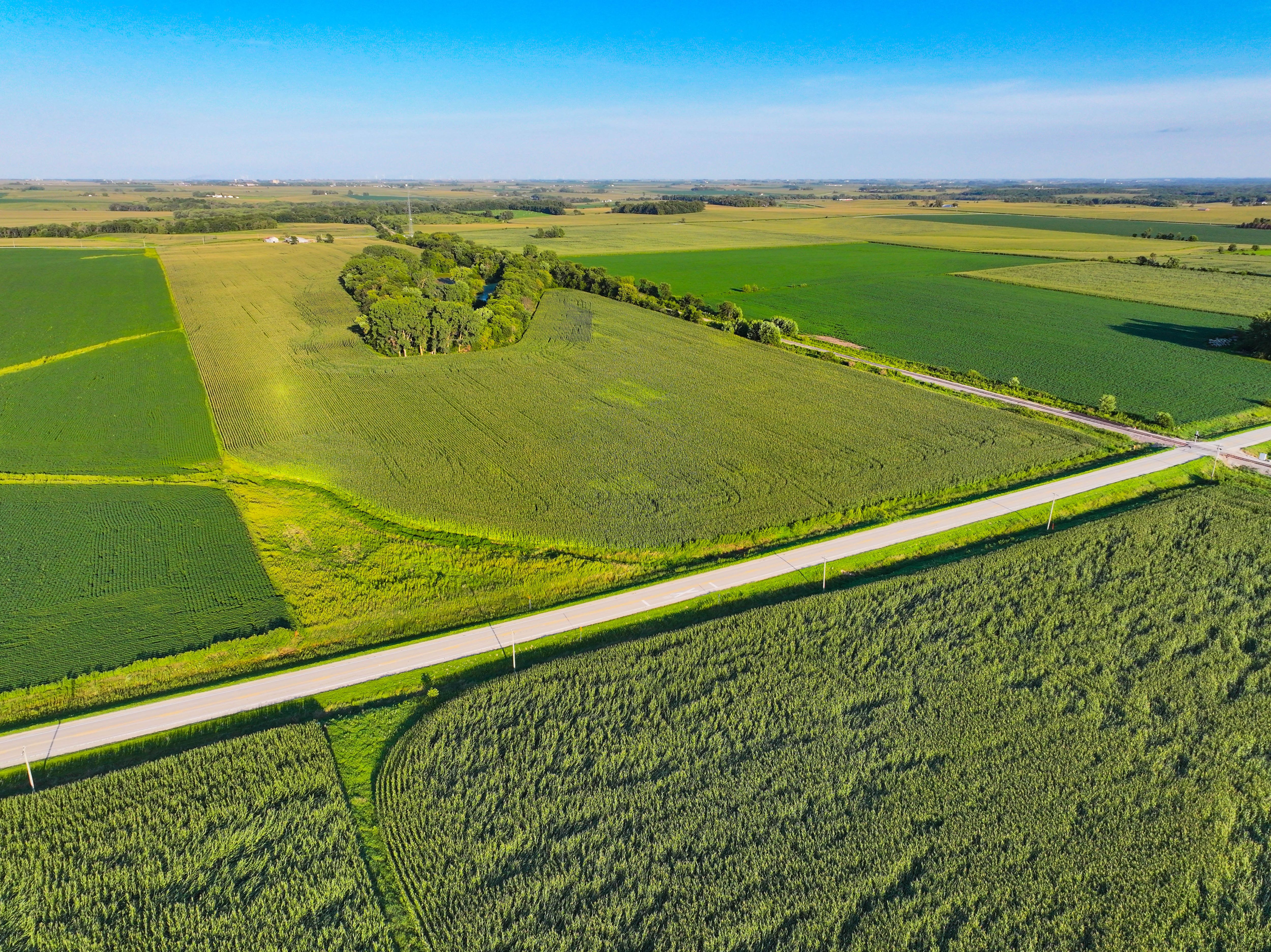 Listing Photo: 8_Buchanan County Iowa Farmland For Sale